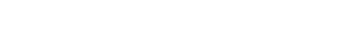 Dealer Hyundai